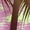 Lime Green, variant on Green Ladies Graphic V Neck Spandex Dresses for Juniors Sleeveless Midi Beach Hawaiian Tropical Summer Fall Dresses 2026 Clothes Y2K S