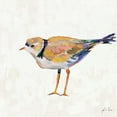 thumbnail image 3 of Vertentes, Jeanette 15x15 Black Modern Framed Museum Art Print Titled - Coastal Plover IV Linen, 3 of 5