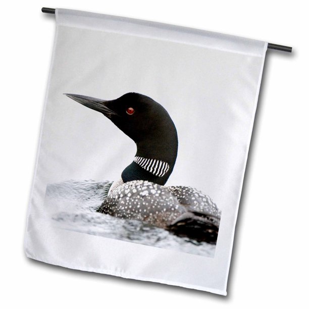 3dRose Bird, Common loon, Gavia immer, Haliburton, OntarioCN08 PCL0004
