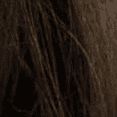4 Dark Brown