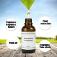 thumbnail image 5 of Pure Eucalyptus Essential Oil 30ml for Aromatherapy Diffuser & Skin Care - Natural Stress Relief & Relaxation Oil with Glass Dropper - Pure Plant Extract for Home Spa Sleep Aid & Body Care, 5 of 8