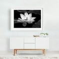 thumbnail image 2 of Ethereal Blossom - Photography Black and White Floral Flowers Nature Minimalist Botanical Scenic White Framed Wall Art Print 16 x 24 inches, 2 of 3