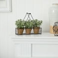 thumbnail image 3 of Nearly Natural 7" Mini Jade Garden Artificial Plant in Hanging Planter, 3 of 4