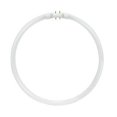 thumbnail image 1 of Satco S8159 3500K 40-Watt 2GX13 T5 Circline High Performance Lamp, Neutral White, 1 of 1