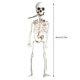 thumbnail image 4 of Esqueleto humano realista de 40 cm para decoración de Halloween, casa, bar, 4 of 8