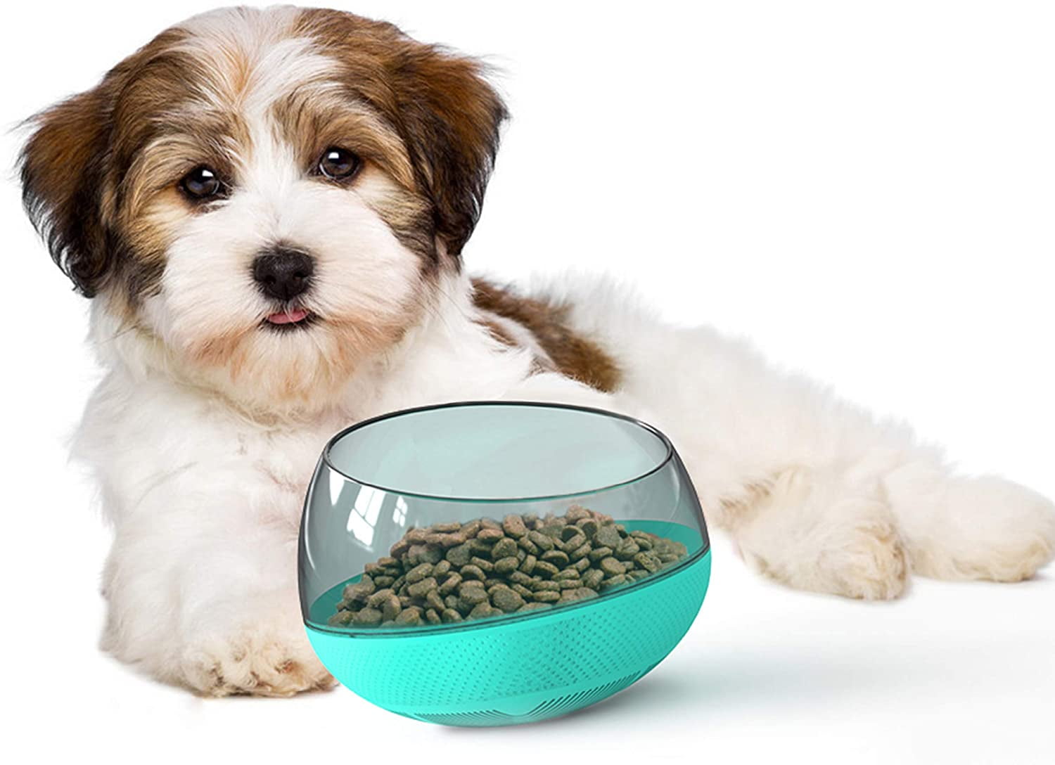 Are Slow Feeders Bad For Dogs