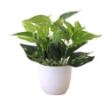 thumbnail image 1 of tredstone Artificial Potted Plant Leaf Simulation Leaves Home Office Desktop Greenery Decoration, Plant Type 18, 1 of 7