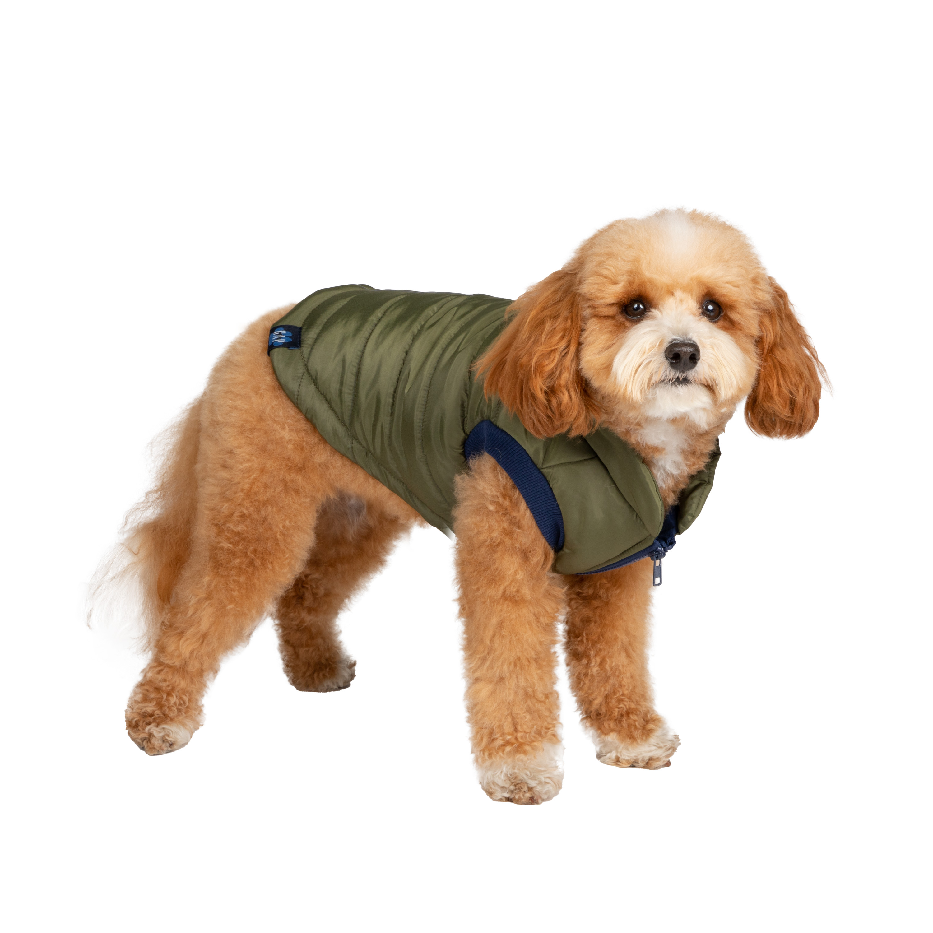 Gap Pet, Dog Clothes Green Bomber Pet Jacket