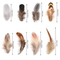 thumbnail image 3 of 8 Styles Assorted Craft Feathers (160Pcs), Natural Chicken Feathers for DIY Earring Wings Dream Catcher Crafts Activities Project Wedding Party Home Decoration Carnival Costume Party Mask Decoration, 3 of 7