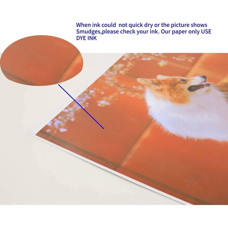 Koala Double Sided Glossy Photo Paper 8.5x11 Inches 120gsm 300