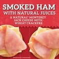 thumbnail image 2 of Hillshire Farm Protein Snack Pack, Smoked Ham, Monterey Jack Cheese, Wheat Crackers, 2.76 oz, (Refrigerated), 2 of 12