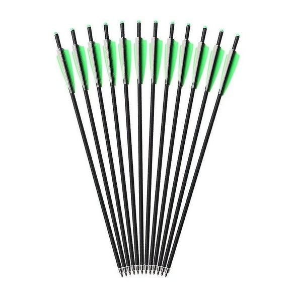 20 Inch Crossbow Arrows, Archery Carbon Arrows Crossbow Bolts Hunting Arrows With Half Moon Nock And Field Points For Hunting Practice Targeti