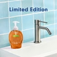 thumbnail image 2 of Softsoap Limited Edition Liquid Hand Soap, Caramel Apple Scent, 7.5 fl oz, 2 of 14