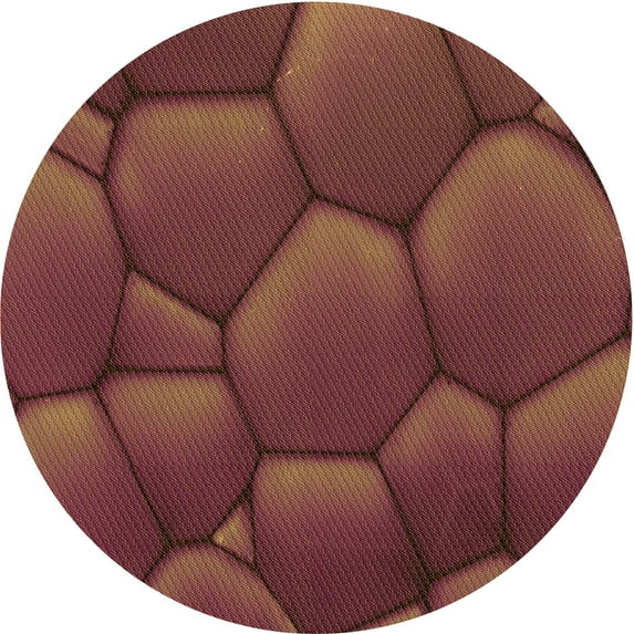 Ahgly Company Indoor Round Patterned Chestnut Red Area Rugs, 6' Round