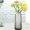 thumbnail image 3 of Florero de Cristal Decoración de Exhibición Floreros Hidropónicos , Grey 30cm Gris 30cm Soledad Florero transparente, 3 of 9
