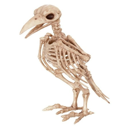 Skeleton Raven Costume