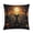 Pattern-2, variant on 16"x16" Pillowcases Black Cat Medieval Forest Square Pillow Cover Halloween Holiday Pillow Protector for Home Bed Sofa