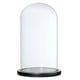 thumbnail image 4 of 2xglass dome / wood base flor paisajista cubierta de vidrio negro g BLESIY Cúpula transparente con base de madera, 4 of 8