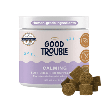 Good Trouble Pets Calming Supplement for Dogs - Fruit Blend Flavor, 30 Chews