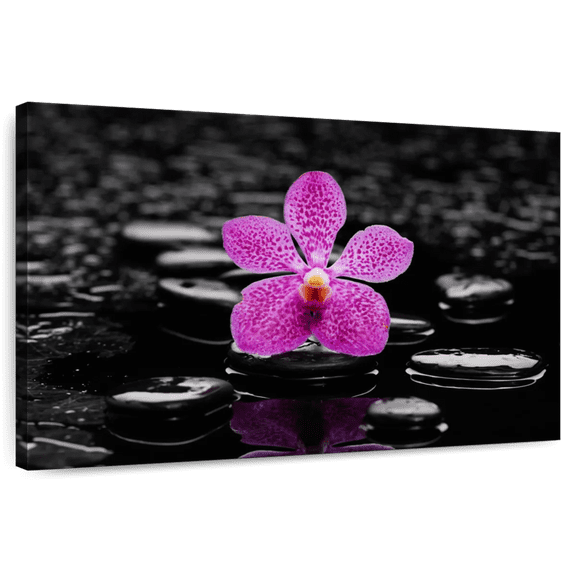 Elephant Stock Zen Purple Orchid Wall Art - Horizontal Canvas Wall Art - Living Room Wall Decor - Floral And Botanical Canvas - Pink And Black Decor - 12" x 8"