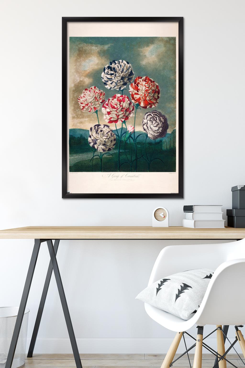 A Group Of Carnations Wall Poster, 22.375" x 34" Framed
