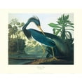 thumbnail image 2 of Audubon, John James 18x15 Gold Ornate Wood Framed with Double Matting Museum Art Print Titled - Louisiana Heron (decorative border), 2 of 4