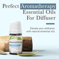 thumbnail image 5 of Pranarom Organic Zen Diffusion Blend, 5 of 7