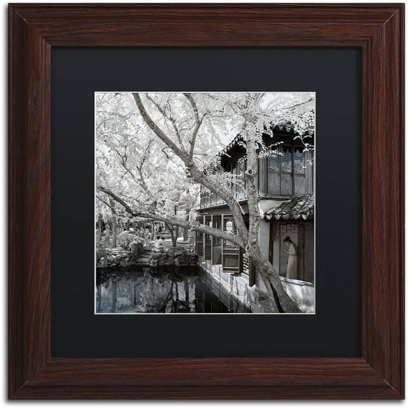 Trademark Fine Art "Reflections" Canvas Art by Philippe Hugonnard, Black Matte, Wood Frame