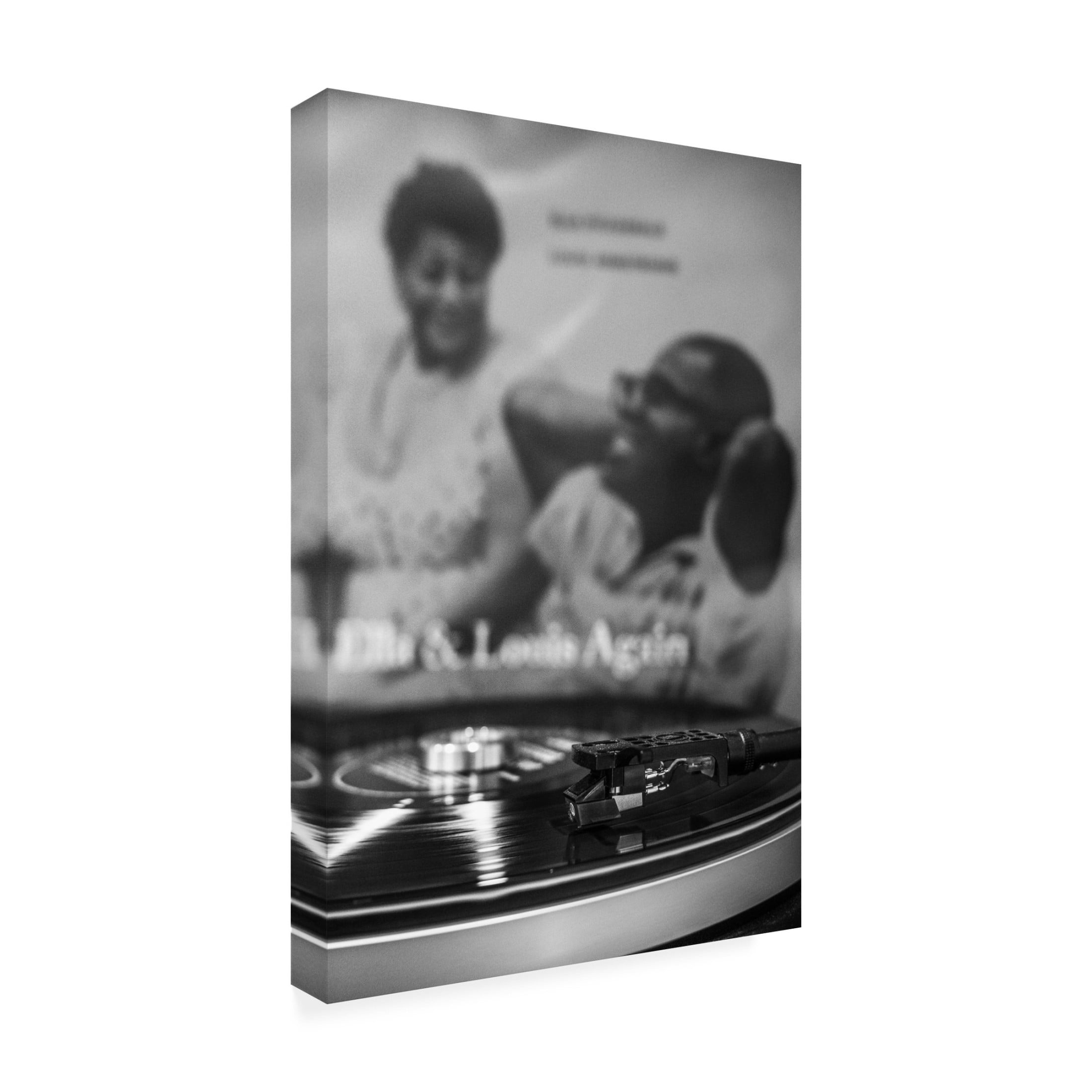 Trademark Fine Art Pictufy Studio Vinyl Canvas Wall Art