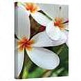 thumbnail image 3 of Kathy Yates "White Plumeria" Canvas Art, 3 of 3