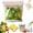 Large (15PCS), variant on Food Grade Fresh-Keeping Bags, 2026 New Reusable Plastic Double Seal Produce Bag, Freezer Bags Slider For Vegetables & Fruits, Clear Leakproof Refrigerator Storage