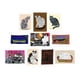 thumbnail image 4 of Princeton Architectural Press Cat Box: 100 postales de 10 artistas, 4 of 11