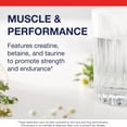 thumbnail image 4 of Metagenics Creatine UP – Creatine Supplement for Women and Men with Betaine & Taurine – Supports Muscle Growth, Strength & Recovery – Non-GMO, Gluten-Free 30 Servings, 4 of 7