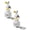 2pcs, variant on Seagull Mine Talking Keychain with Real Seagull Sound & Flashing LED Light, Portable Novelty, for Coworkers & Adults.