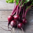 thumbnail image 7 of (Pack of 6) Biotta Organic Beet Juice 16.9 Fl Oz, 7 of 7