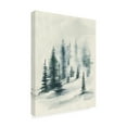 thumbnail image 2 of Jennifer Goldberger 'Misty Winter II' Canvas Art, 2 of 3