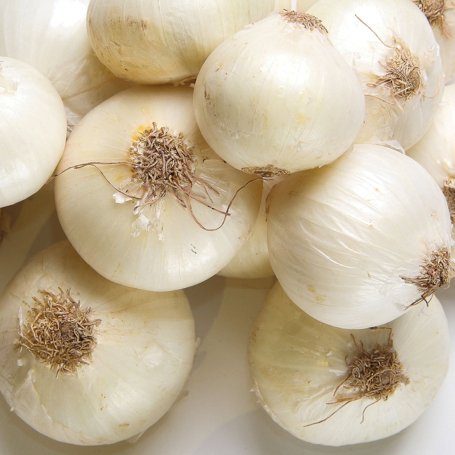 Expert Gardener Onion White Sets (Set of 100 Dormant Vegetable Bulbs) Full Sun, White, Annual