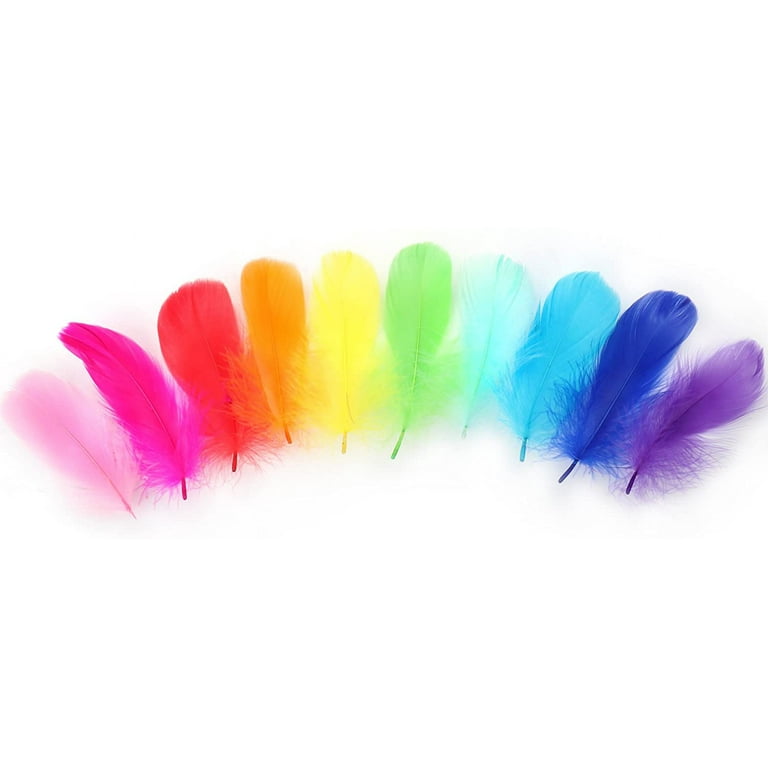 450 Pcs Feathers Colorful Feathers Crafts for DIY Craft Wedding Home Party Decorations, 10 Colors