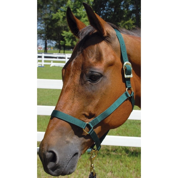 Jeffers Turnout Poly Halters, 600-900 lb