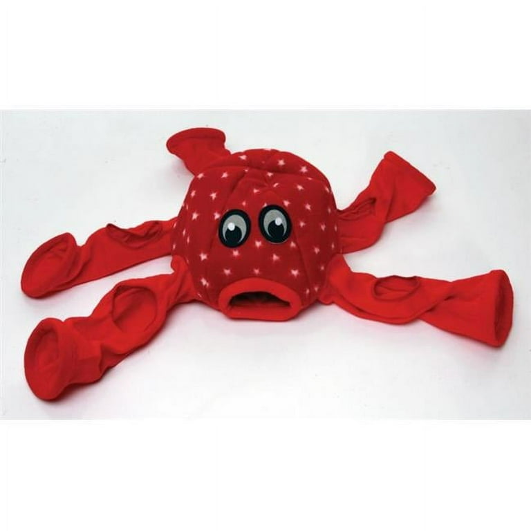 Ferret toys walmart cheap