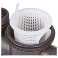 thumbnail image 3 of Bomba Para Alberca EVANS Hp1.5me050 1/2 Hp, 3 of 4