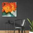 thumbnail image 4 of Epic Art 'Floral Pop III' by Lori Deiter, Acrylic Glass Wall Art, 36"x36", 4 of 8