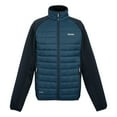 thumbnail image 1 of Regatta Veste Hybride à Fermeture Éclair Complète Clumber IV pour Hommes, 1 of 4