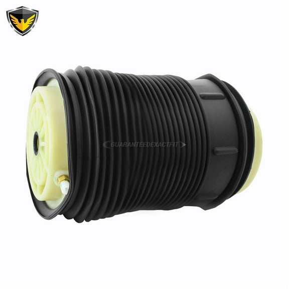 For Mercedes E350 E550 CLS550 & CLS63 AMG Duralo Rear Left Air Spring