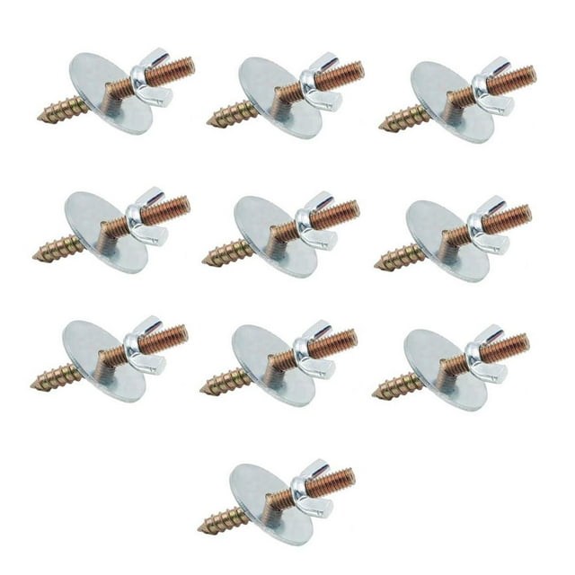 DOLITY 10 Pcs (M6*30) Écrous et Vis pour Faire des Perchoirs pour Oiseaux pour Plateforme d'Exercice Laveuse Simple