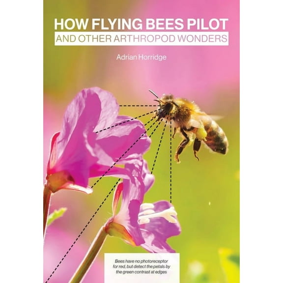 How Flying Bees Pilot, and other arthropod wonders (Paperback) by Adrian Horridge, Simon Paterson
