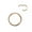 Rose Gold, variant on 2PCS Stainless Steel Nose Lip Ear Ring Hinged Septum Clicker Hoop Body Piercing-16G 10mm-Rainbow