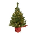 thumbnail image 2 of Coollooc Mini Christmas Tree with Lights, Pre Lit Artificial Mini Xmas Tree for Tabletop,Outdoor,Bedroom,Office Decorations,Includes Led Lights(Red,Light), 2 of 9