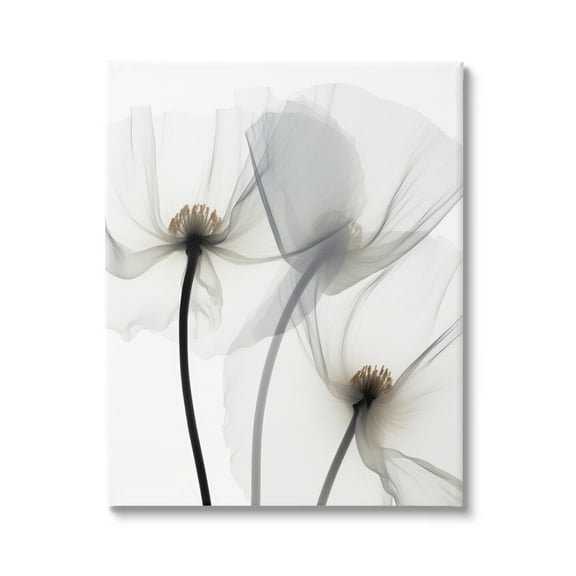 Stupell Industries Modern White Poppies Botanical & Floral Photography Gallery Wrapped Canvas Art Print Wall Art, 16 x 20