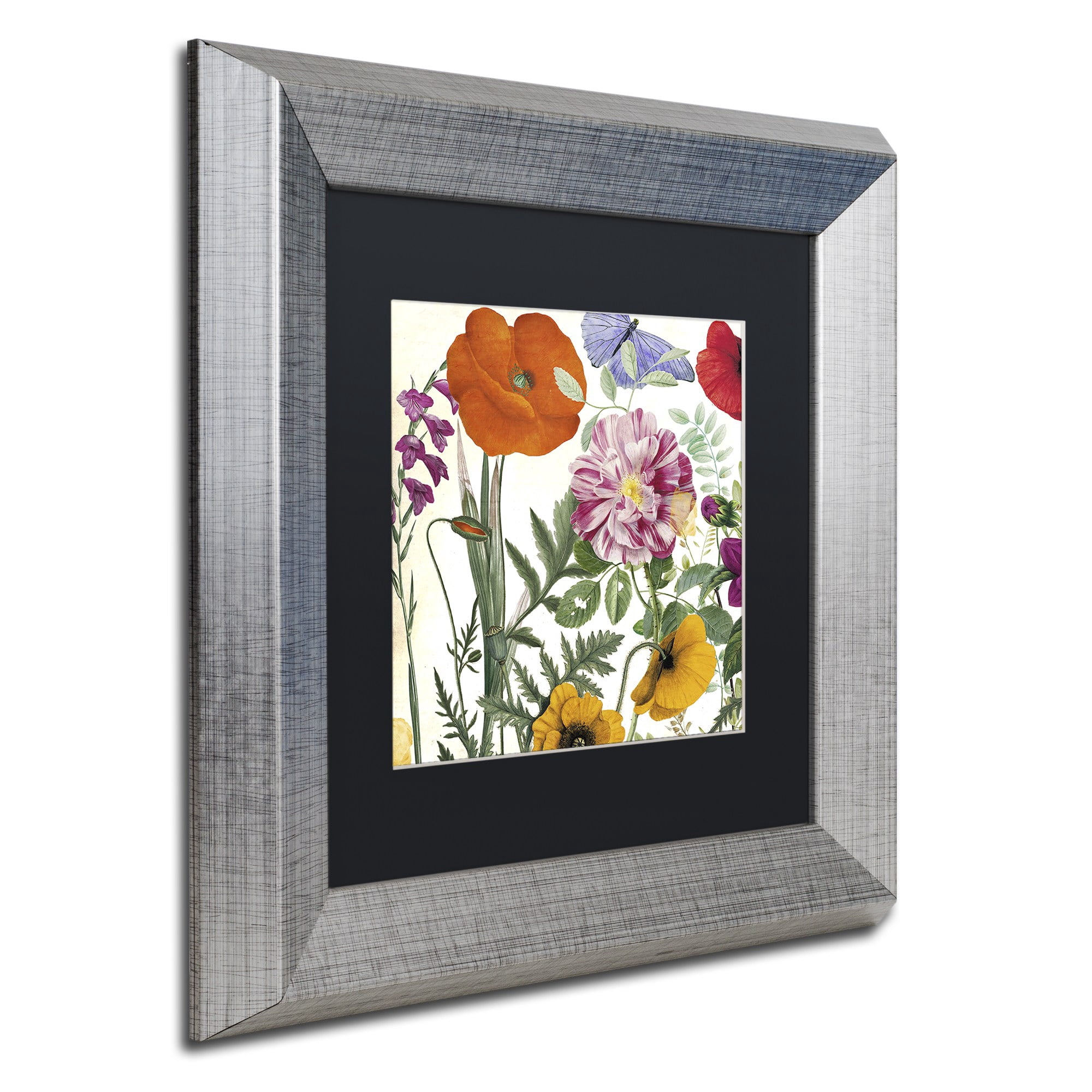 Trademark Fine Art "Printemps II" Canvas Art by Color Bakery, Black Matte, Silver Frame